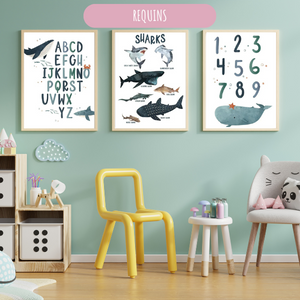 Set de trois affiches sur les requins et baleines, combinant éducation et décoration dans une chambre d’enfant.